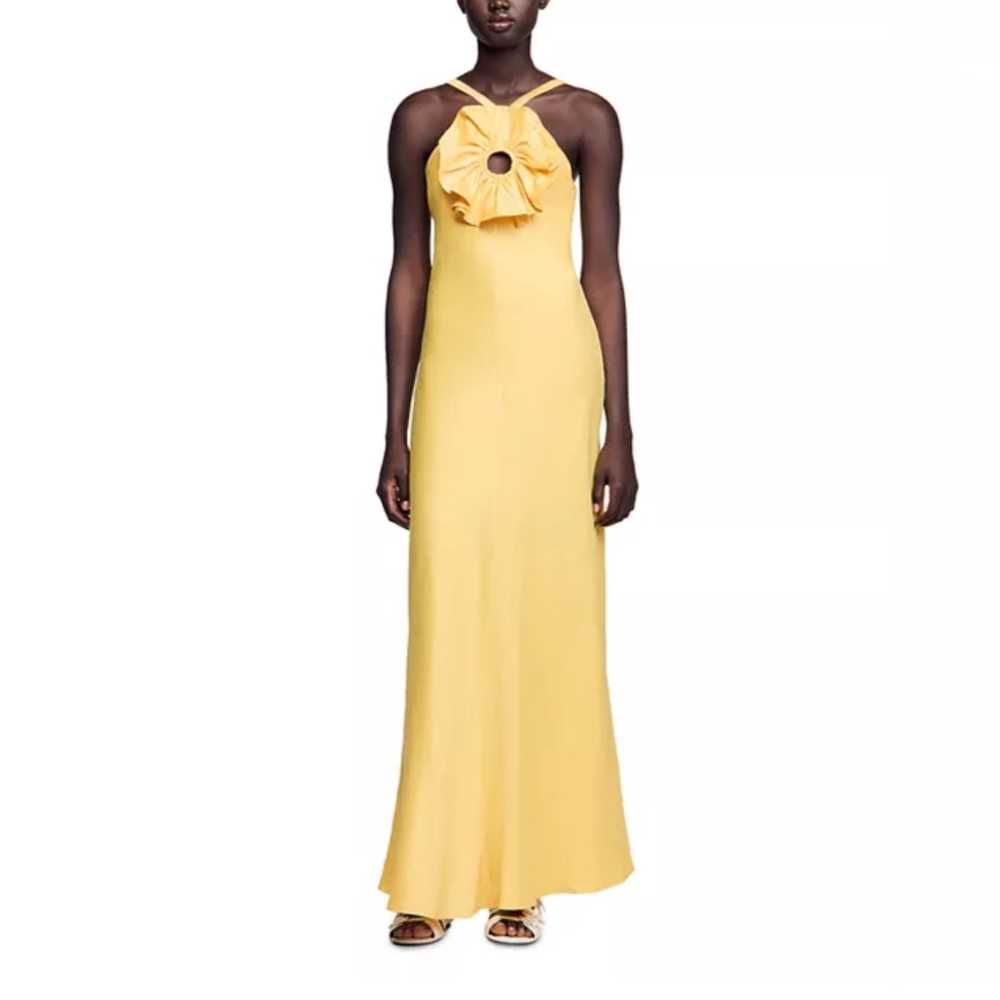 Tournesol Ruffled Maxi Dress